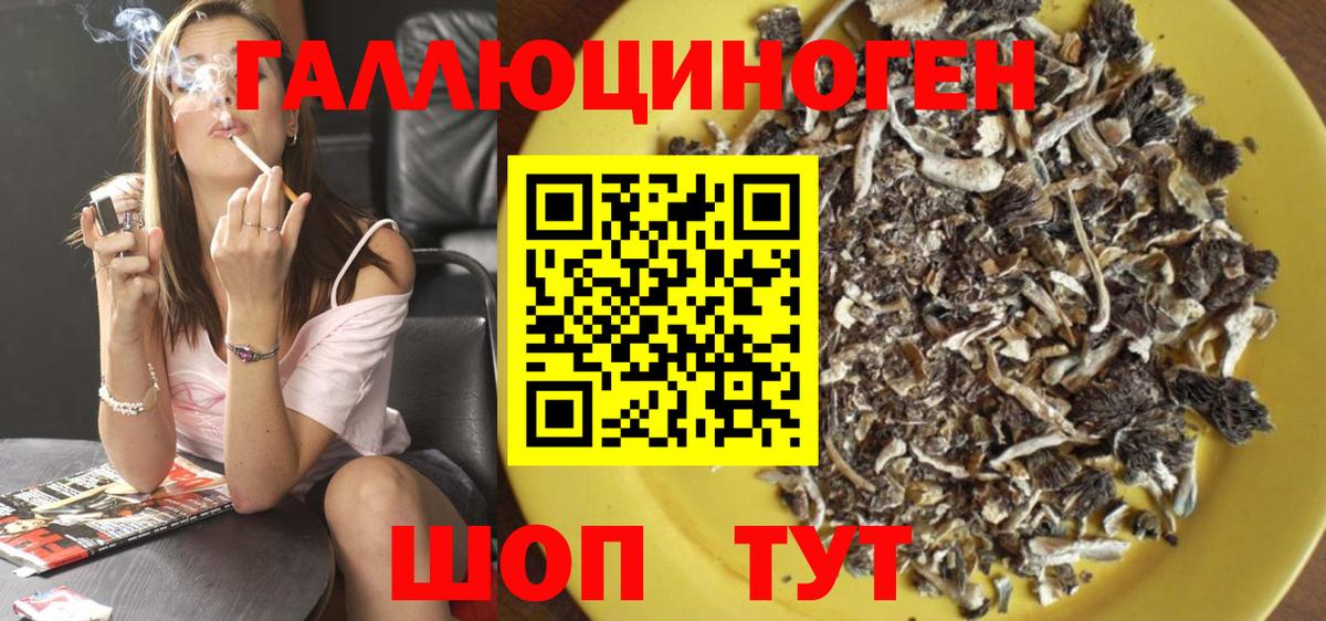 Галлюциногенные грибы Cubensis Костомукша