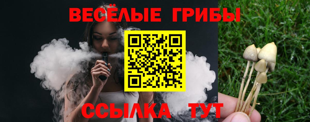 Костомукша  Псилоцибиновые грибы Cubensis  Вход с VPN 