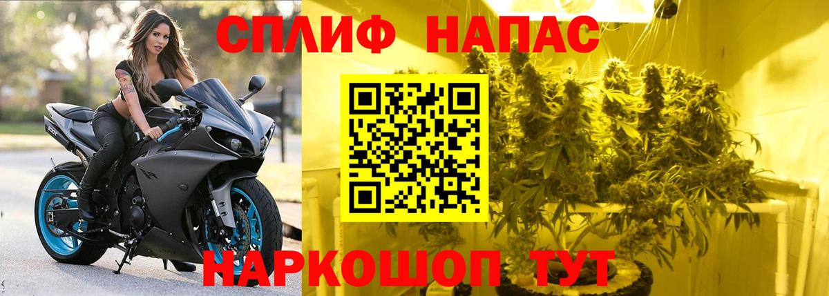 МАРИХУАНА семена Костомукша